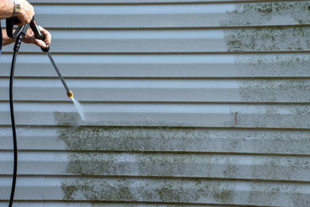 Best Wood Siding Installation  in Rmichael, CA