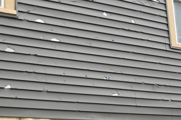 Best Siding for Commercial Buildings  in Rmichael, CA