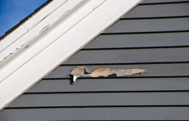 Best Custom Trim and Detailing for Siding  in Rmichael, CA
